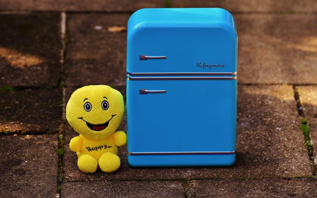 10 crazy things about refrigeration.